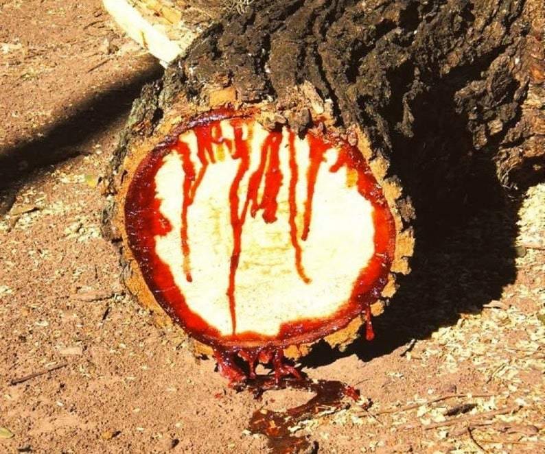 Sangre de Grado